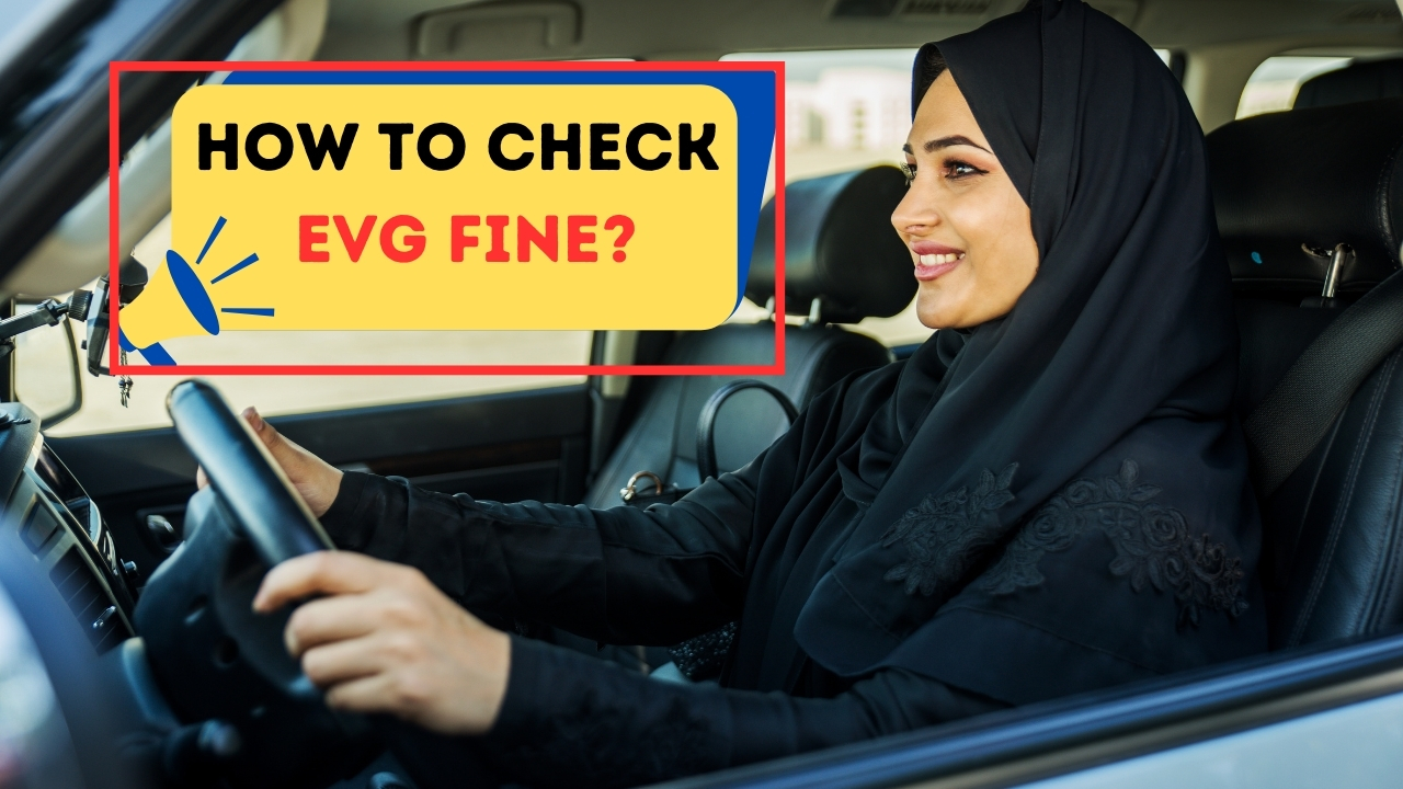 evg fines