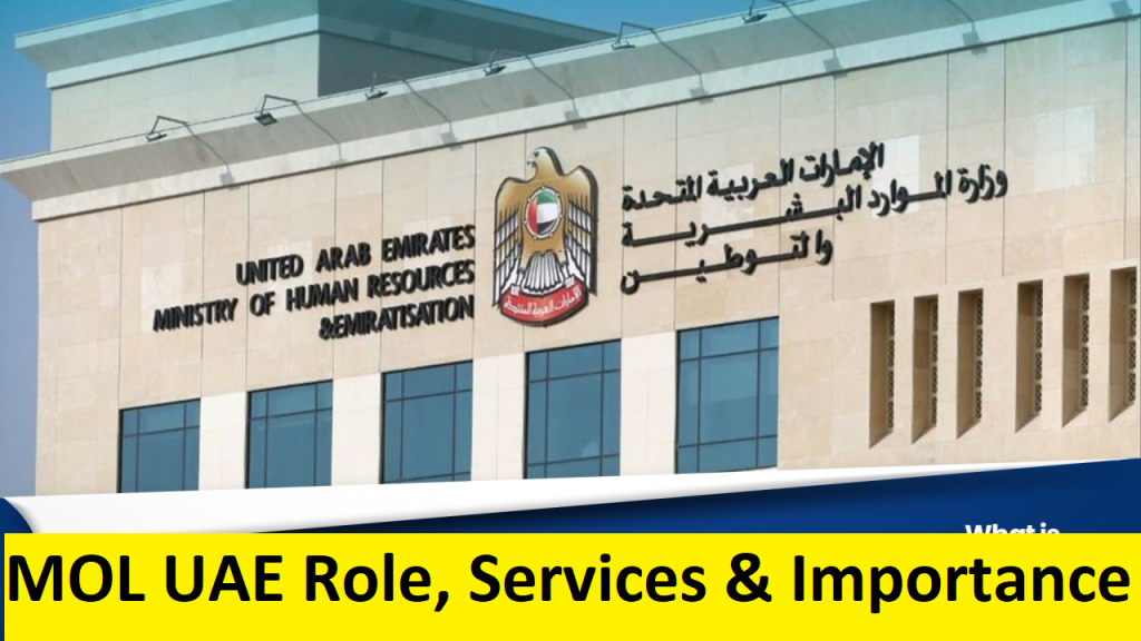 MOL Enquiry Services in the UAE | MOHRE Labour Card